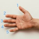 The numbering of the fingers - Piano Warm Ups